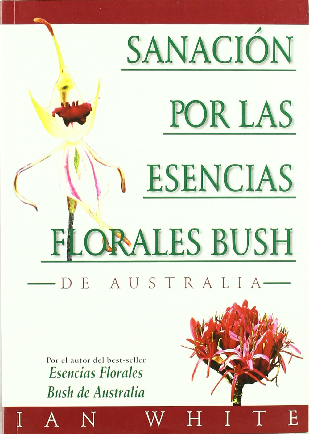 Esencias Florales Buch